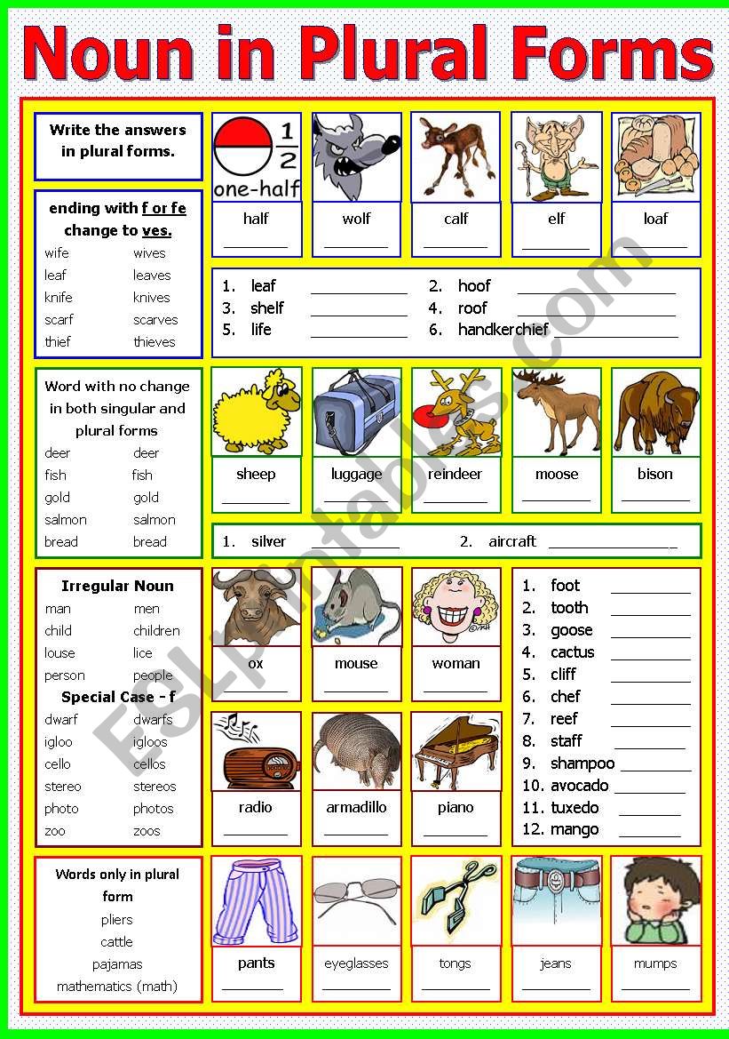 Noun in Plural Forms - ESL worksheet by shusu-euphe