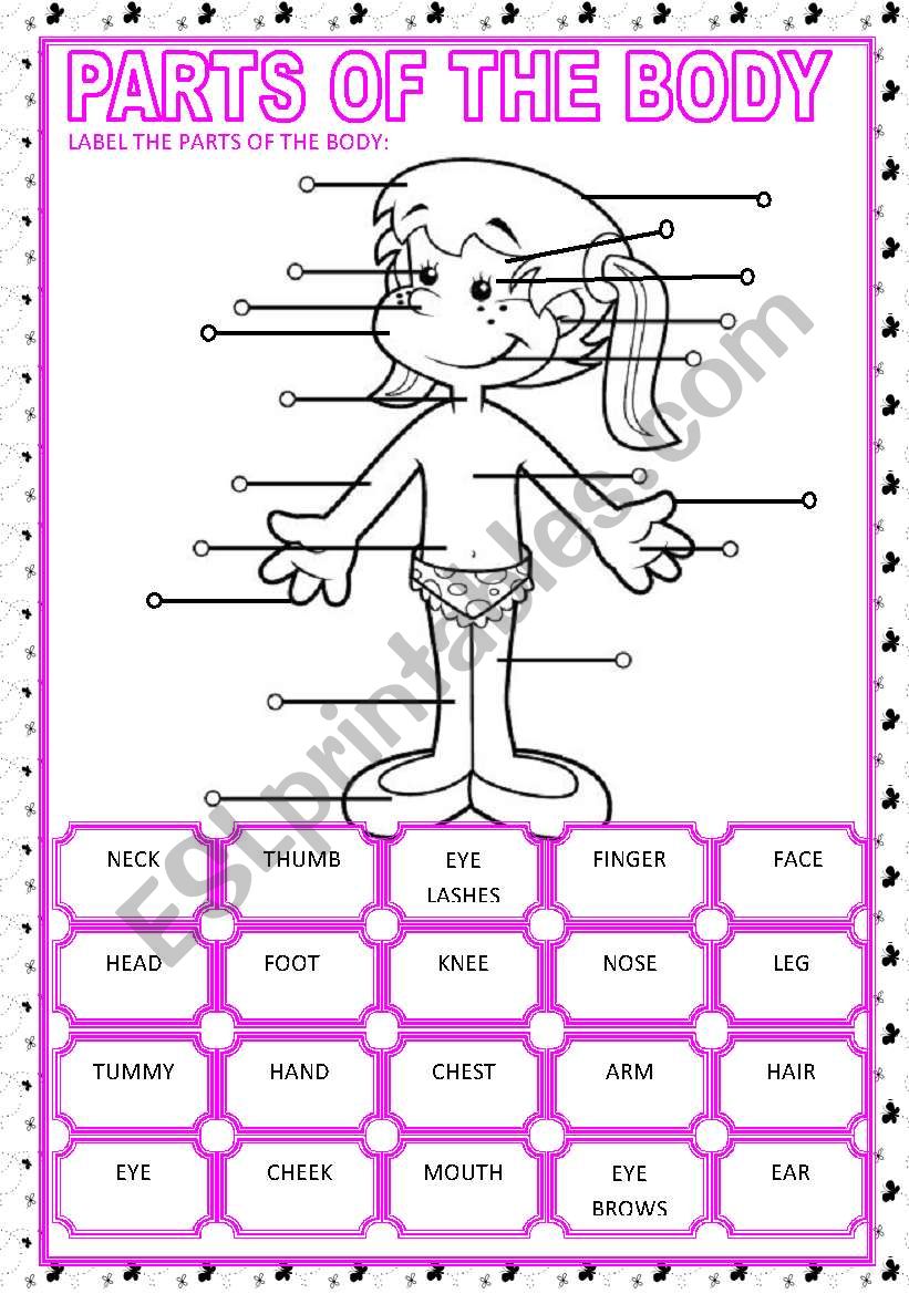 PARTS OF THE BODY worksheet