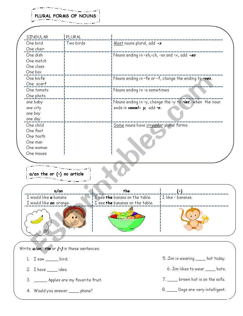 regular and irregular plural nouns + using articles a/an, the and no article