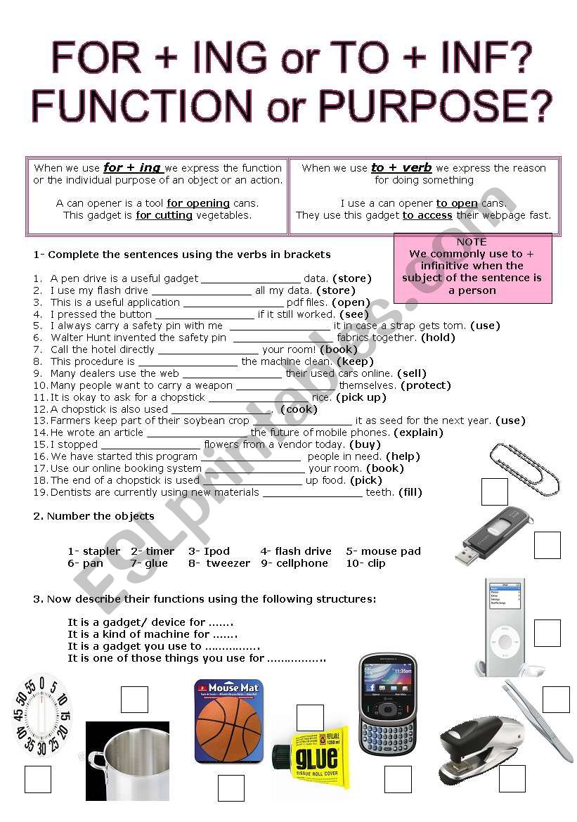 Function or Purpose?  worksheet