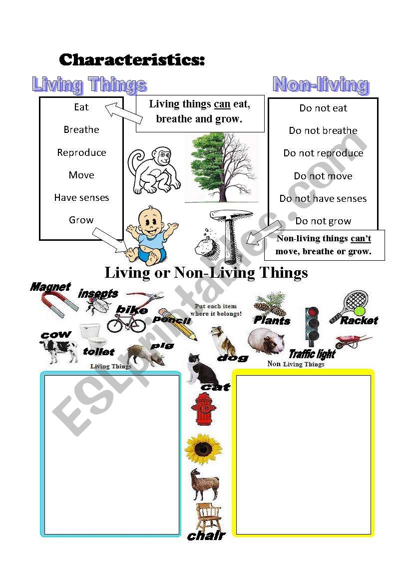 LIVING things VS NON LIVING things