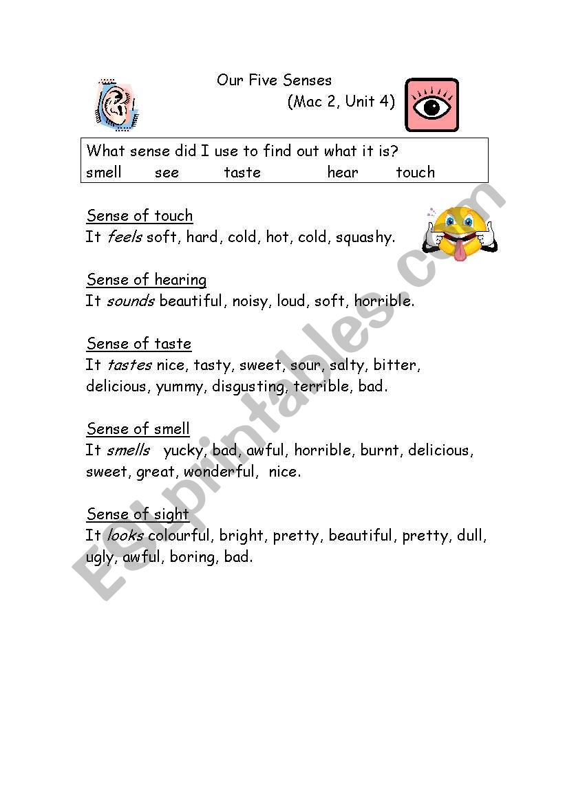 Our Five Senses worksheet