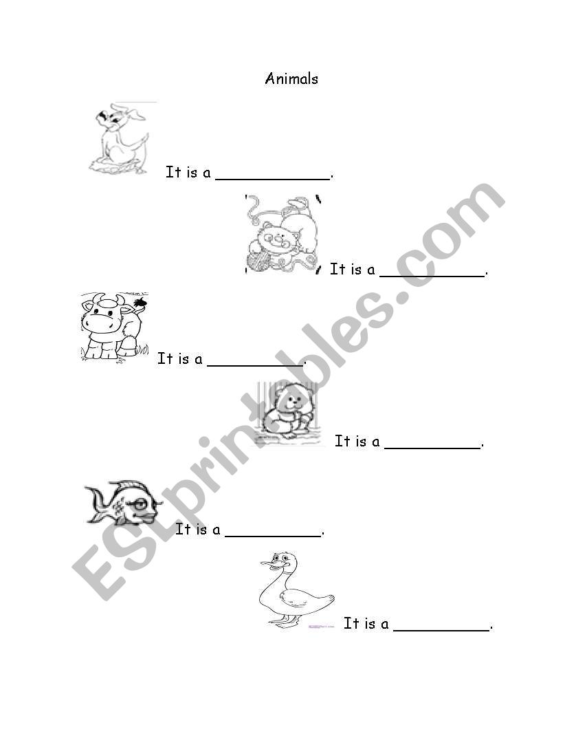 Animal Pets worksheet