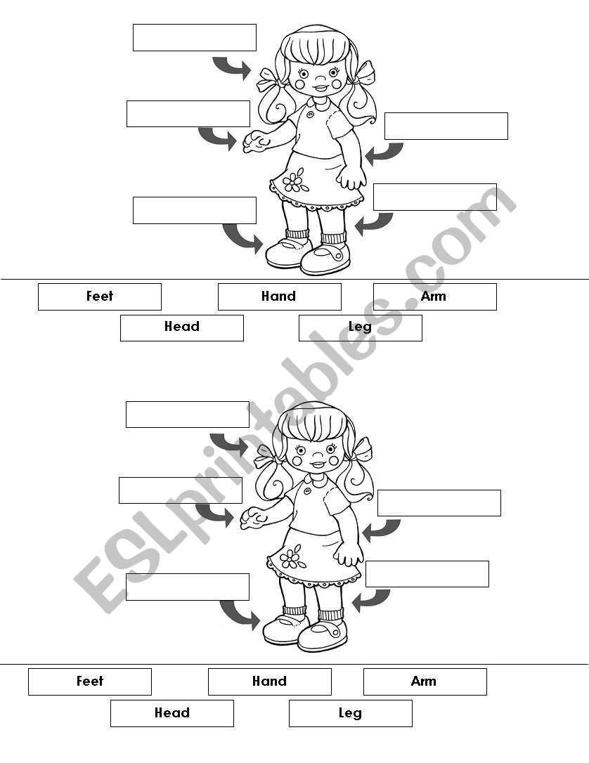 Body parts worksheet