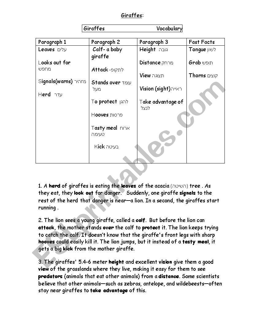 Giraffes worksheet