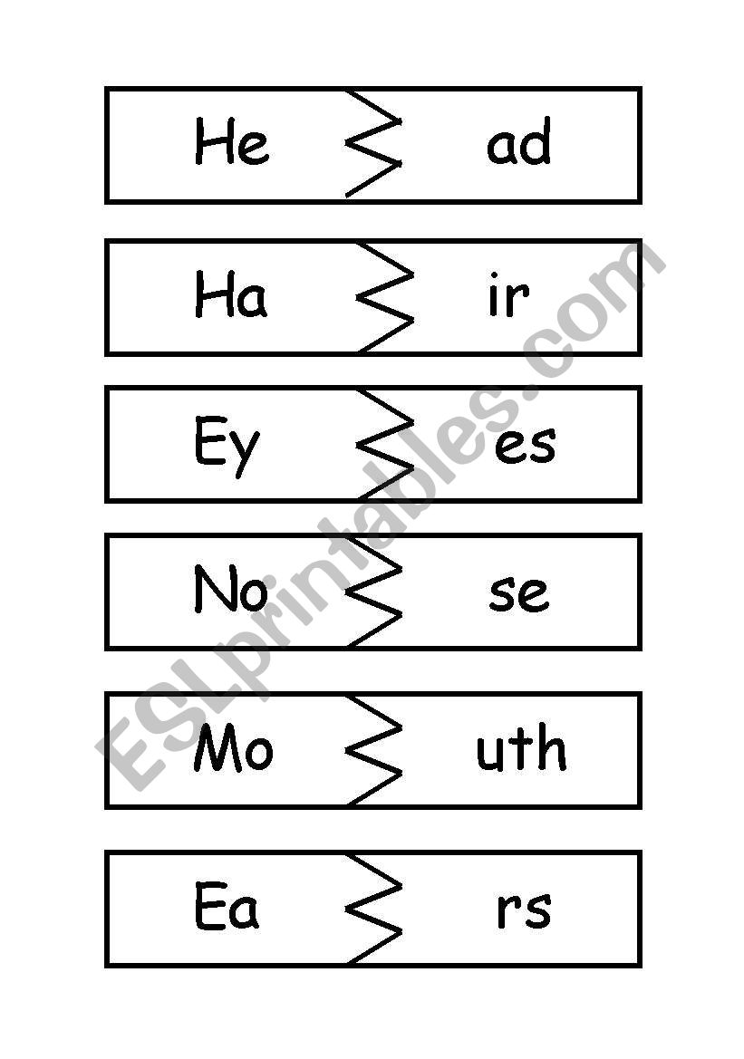 parts of the body worksheet