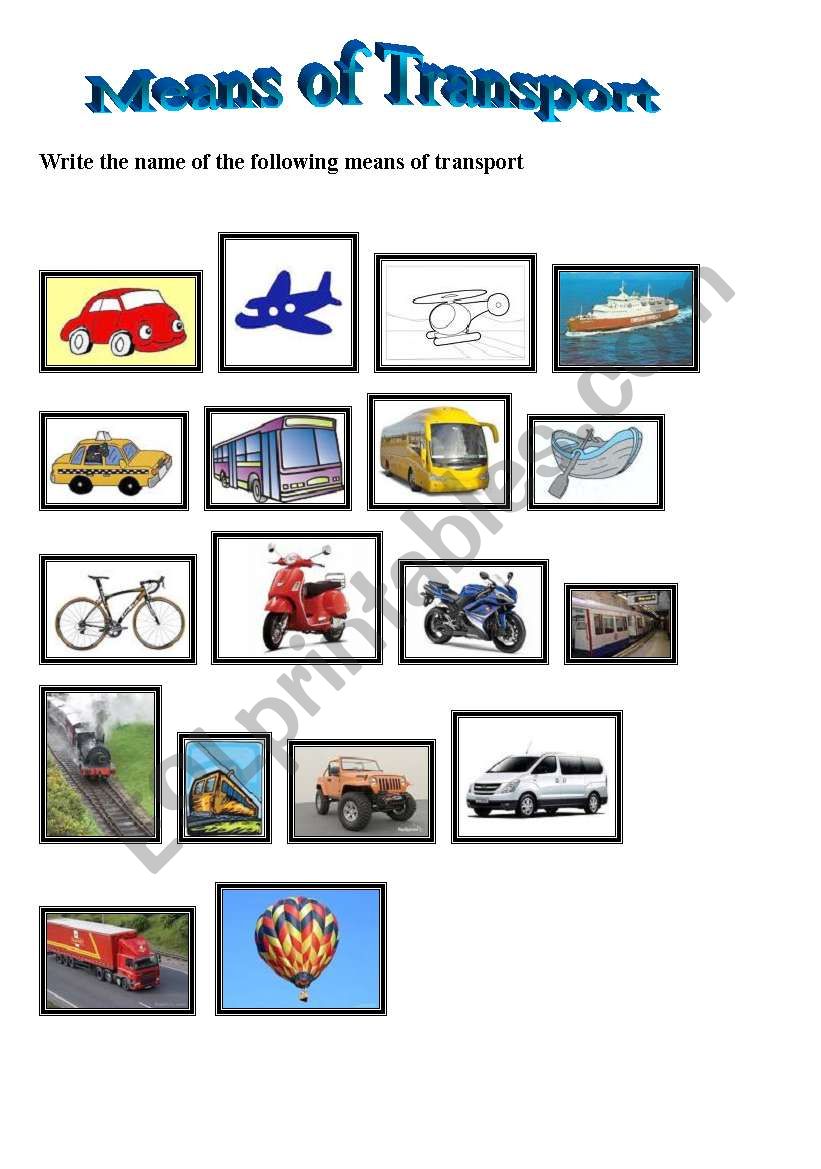 Means of transport worksheet