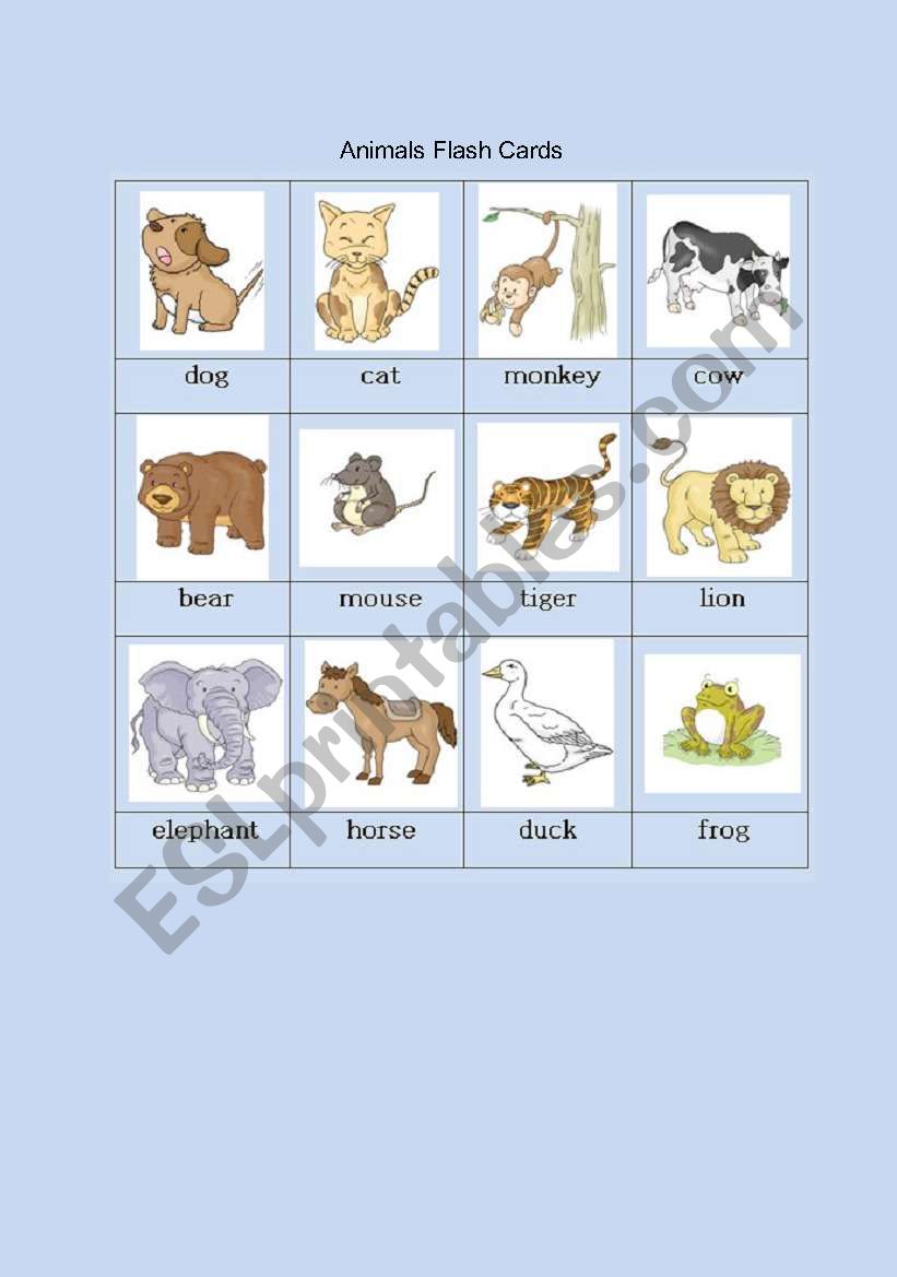 Animal Flash Cards worksheet