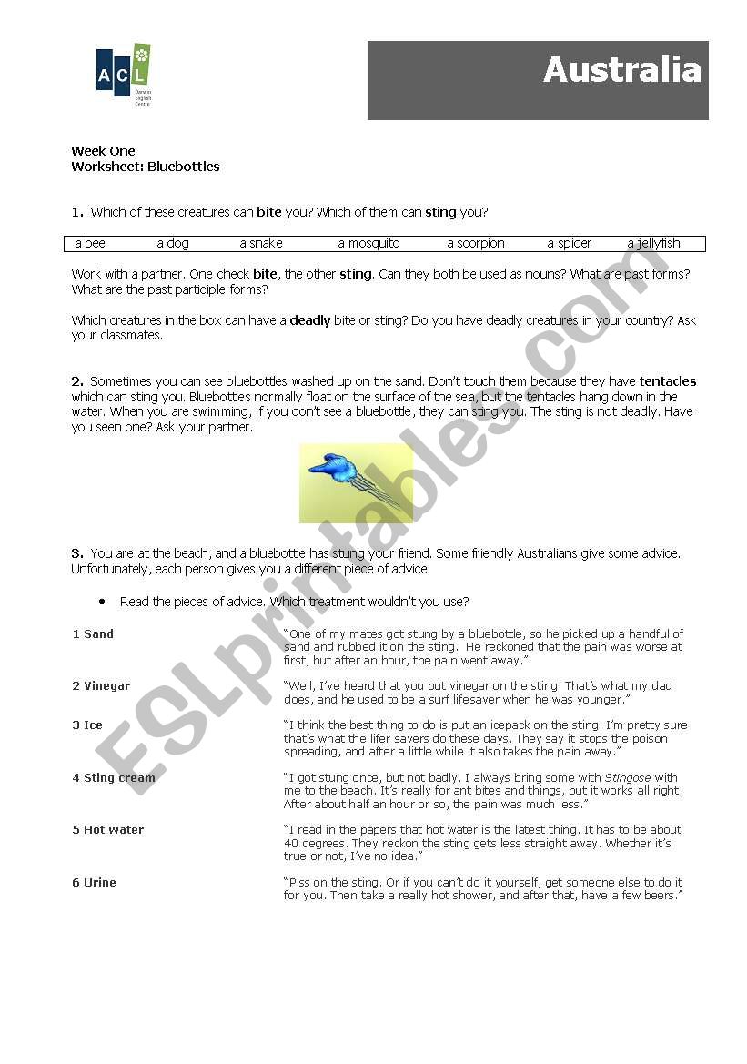 blue bottles worksheet