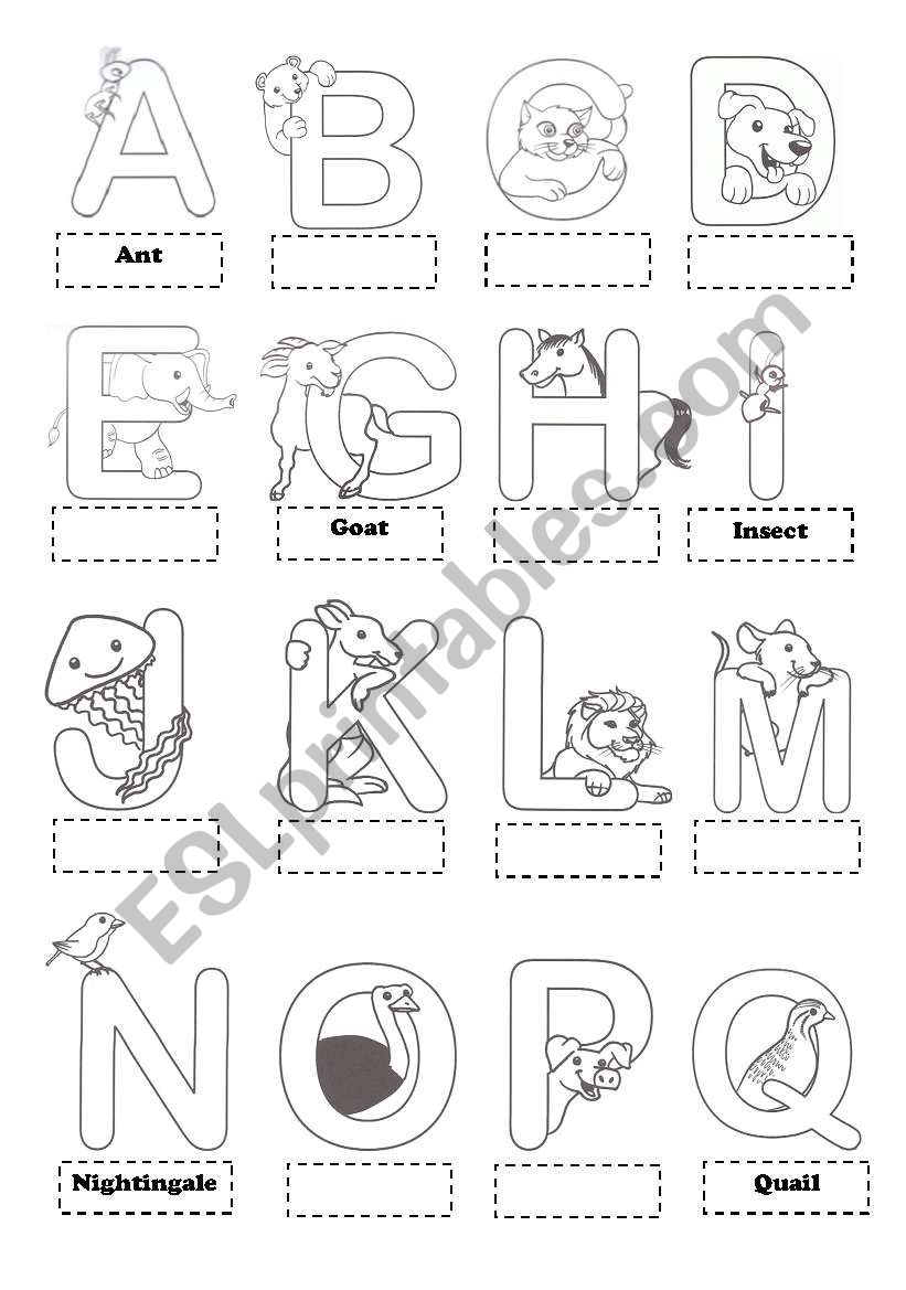 The Alphabet (take 1) worksheet