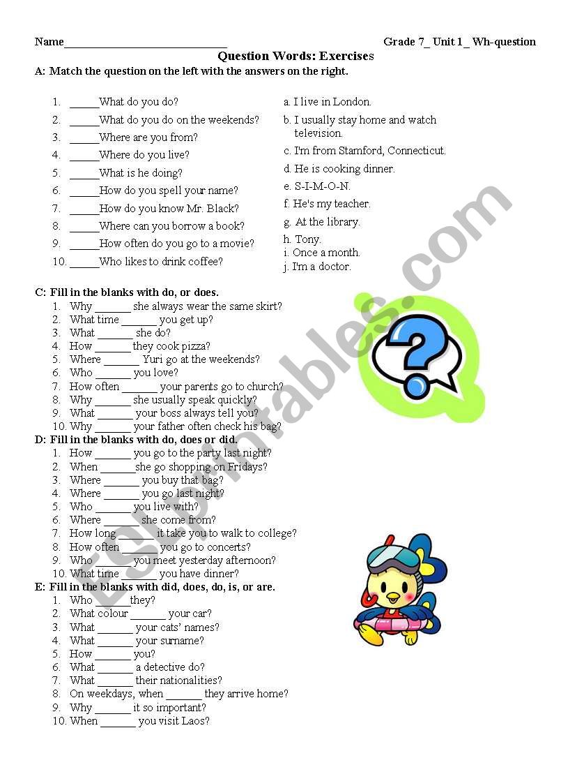 Wh-word worksheet worksheet