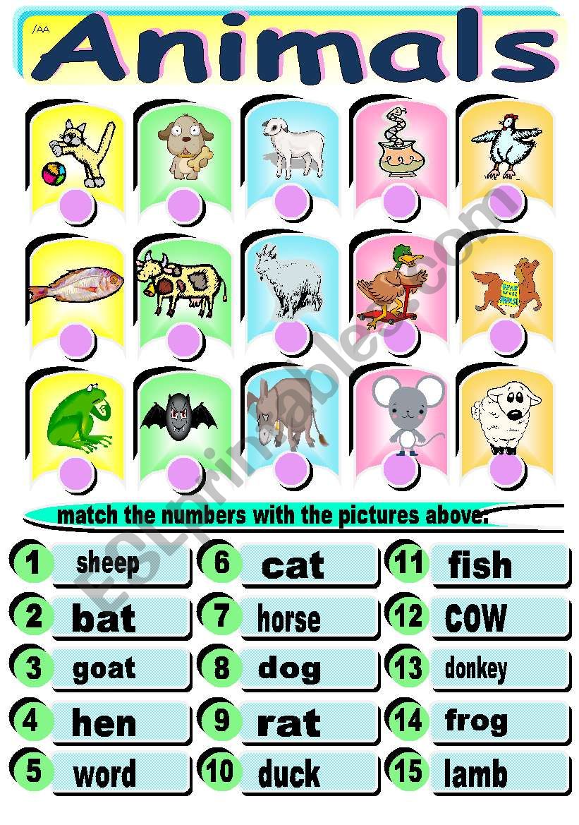 animals worksheet