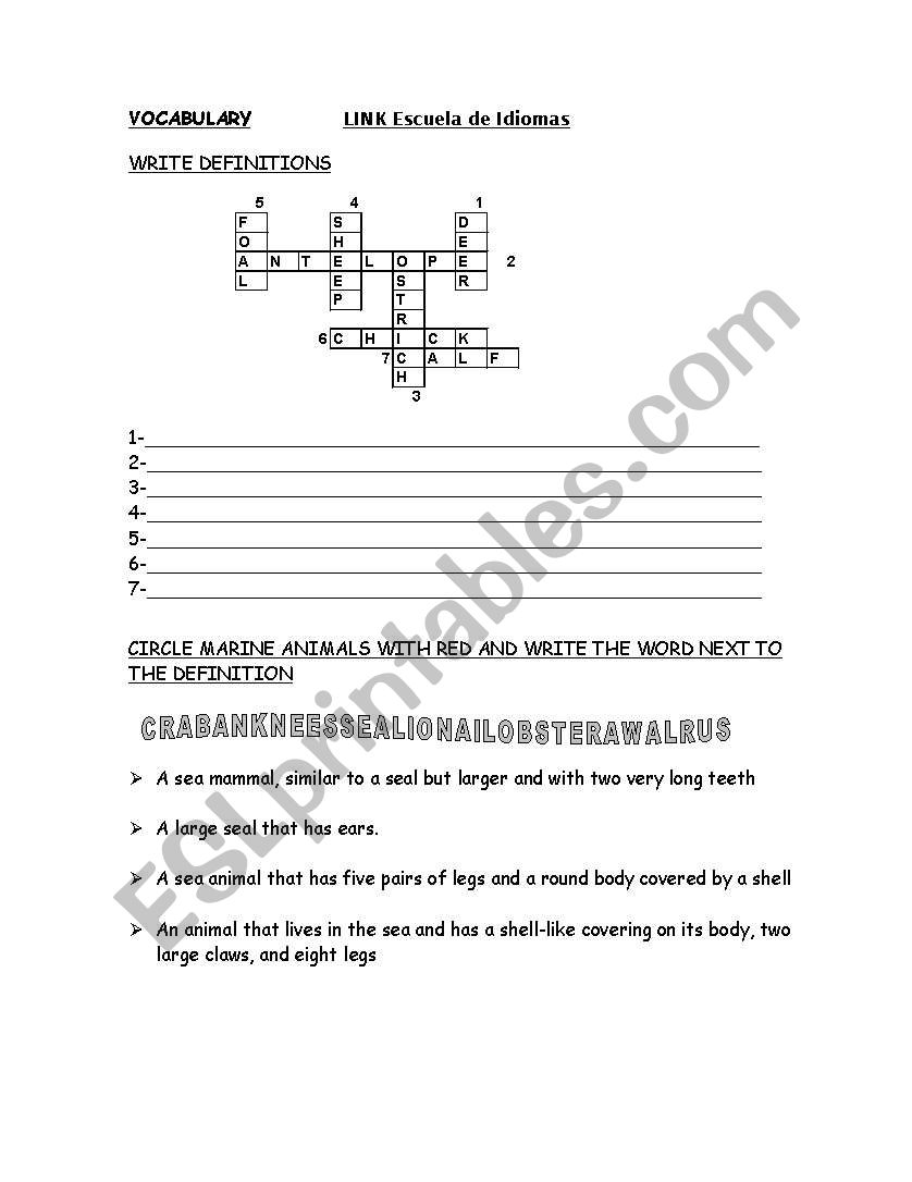 vocabulary worksheet