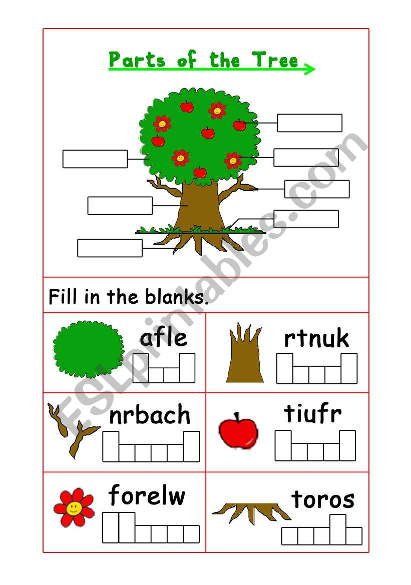 parts of the tree worksheet