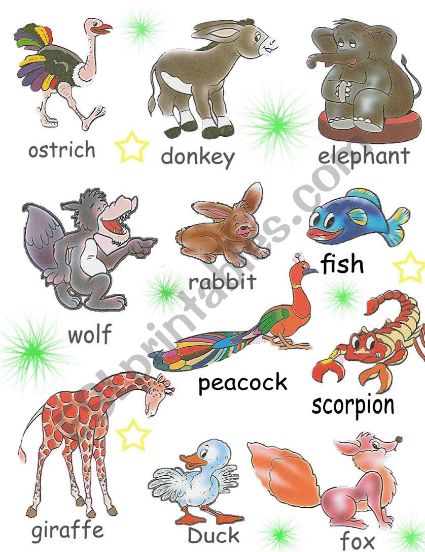 animals pictionary worksheet