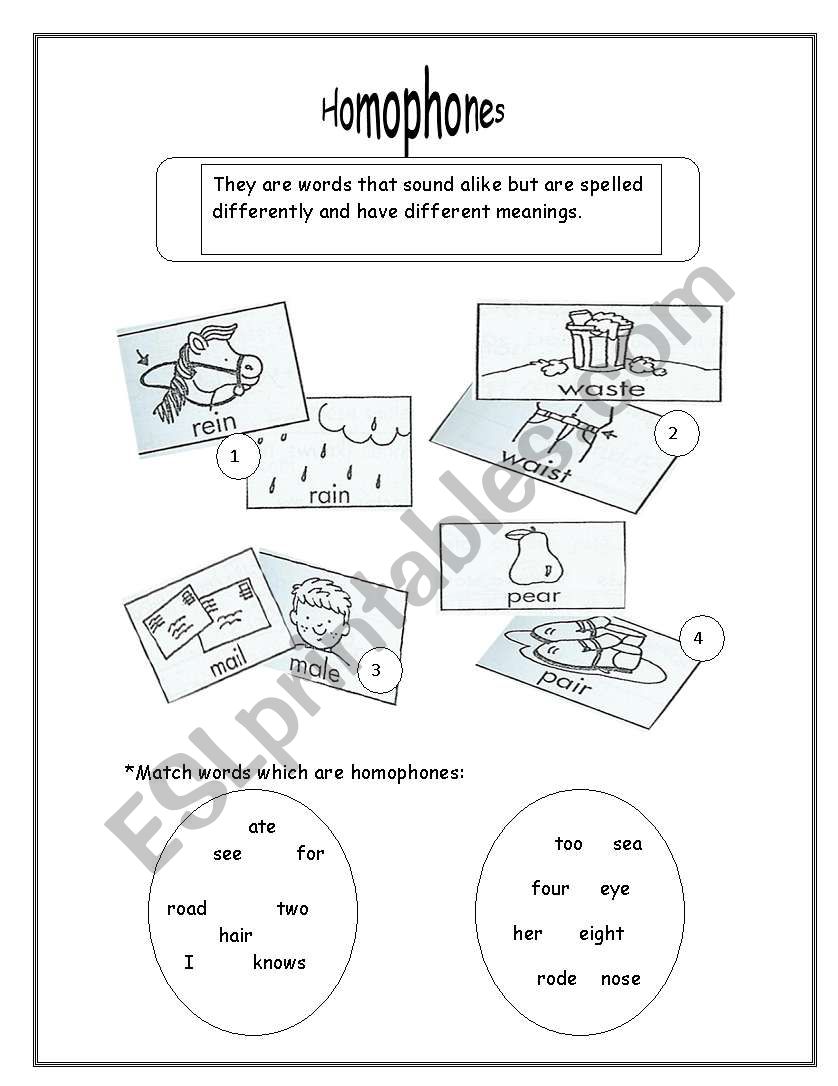 Homophones  worksheet