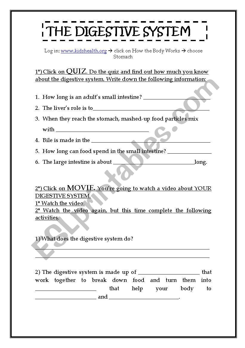 The Digestive System worksheet