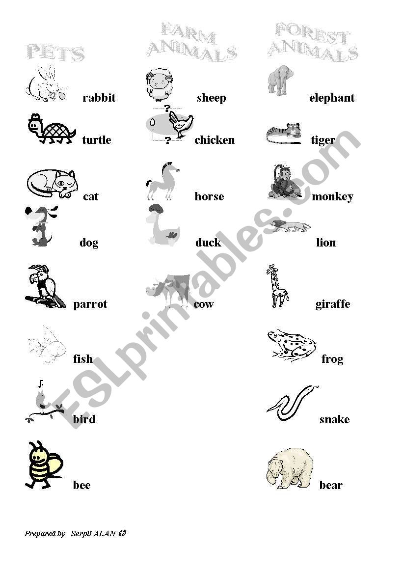 animals worksheet