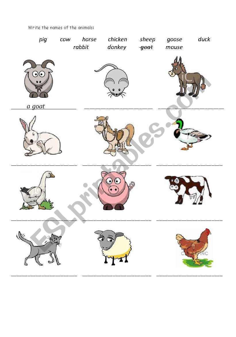 farm animals  worksheet