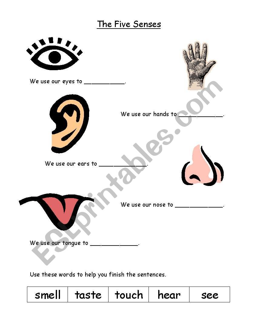 5 Sense organs worksheet