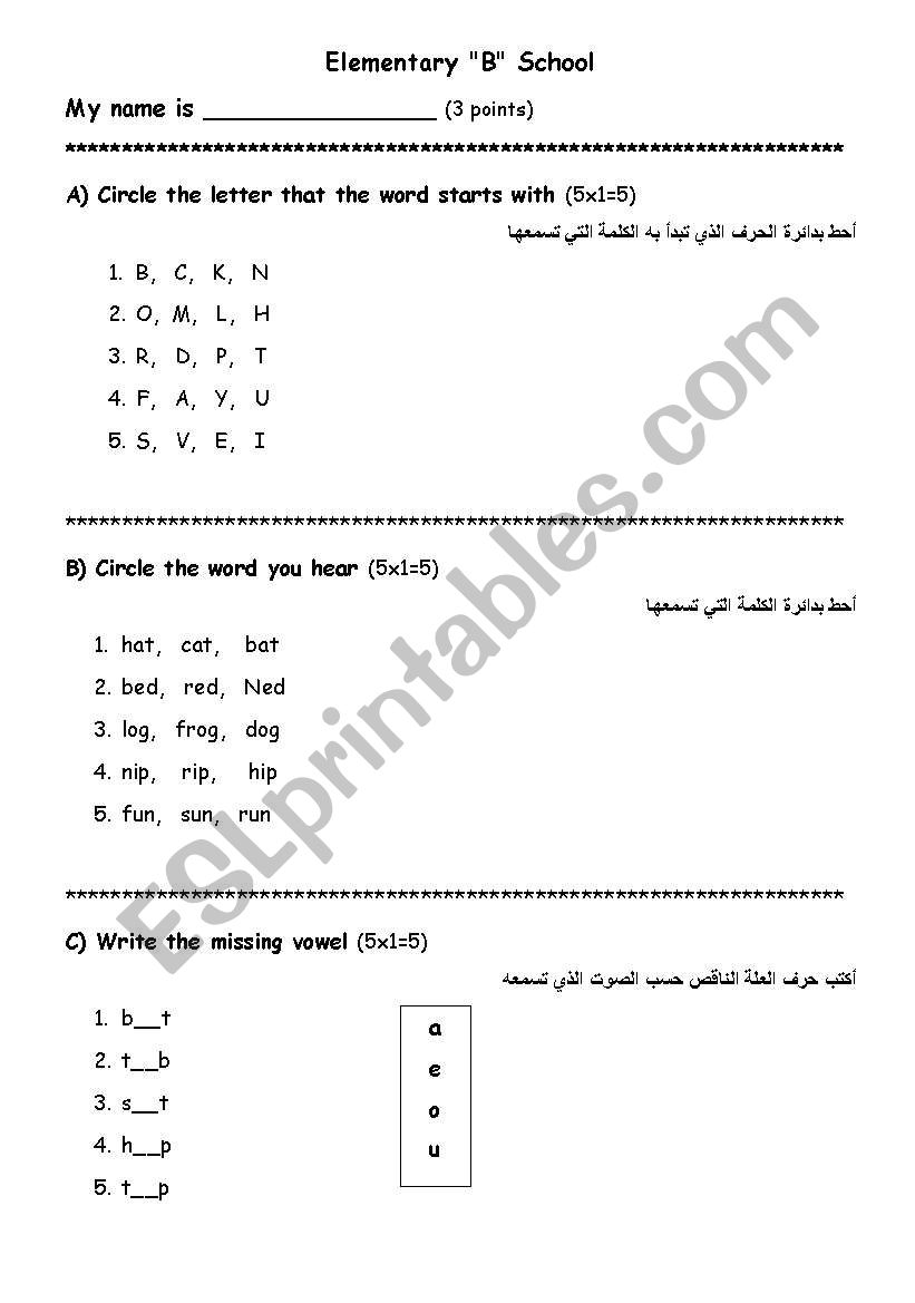 an exam that tests basic elements of language