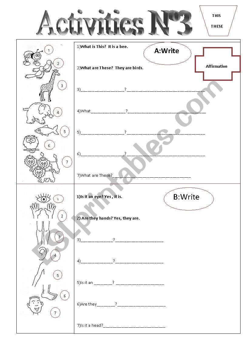 AcTivities N3 worksheet