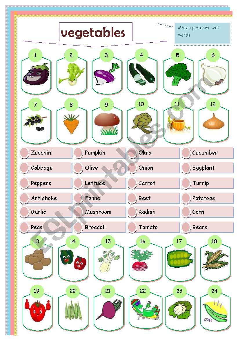 vegetables : matching worksheet