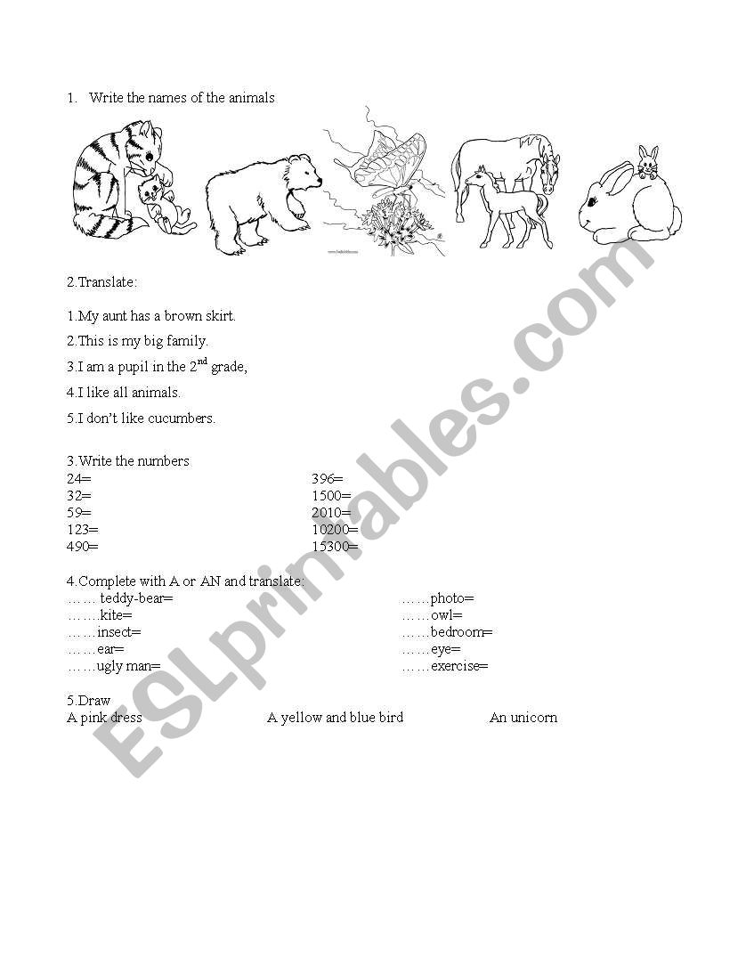 Vocabulary test beginners worksheet