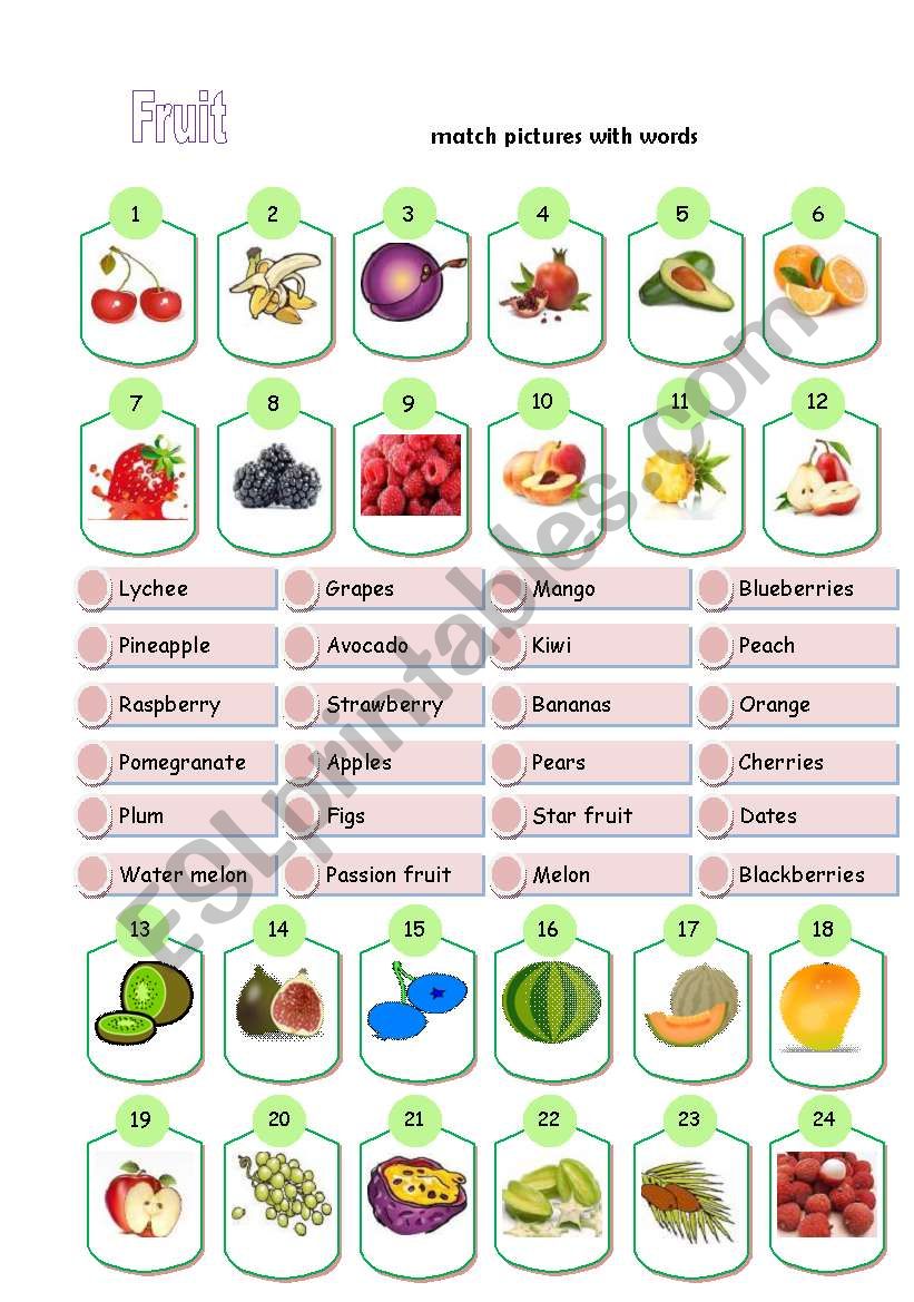 fruit: matching worksheet
