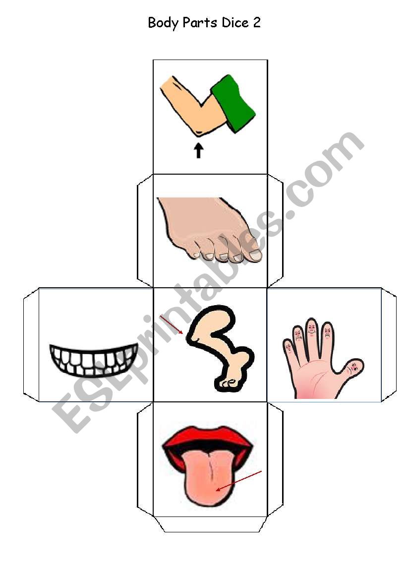 Body Parts Dice - Part 2 worksheet