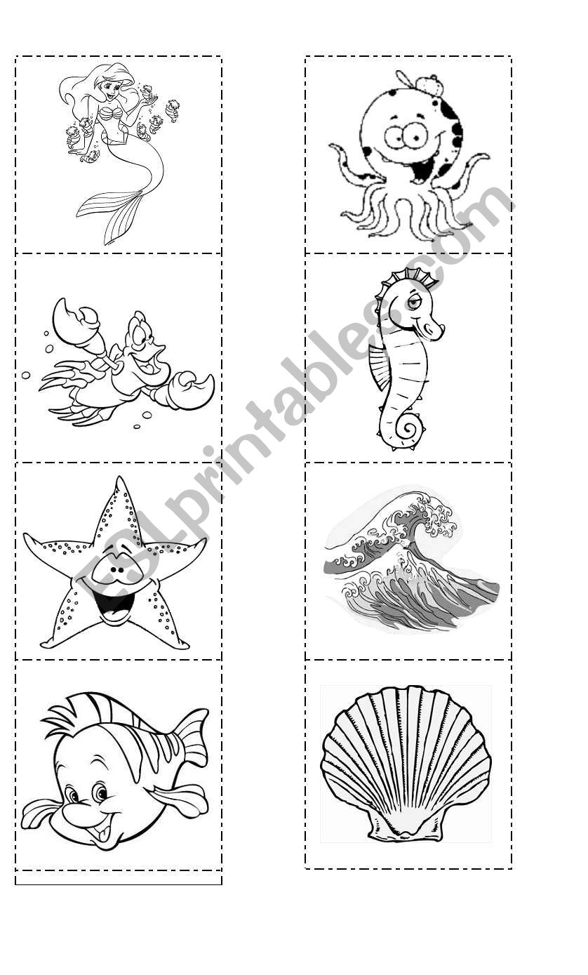 ThE SeA - Memory Cards worksheet