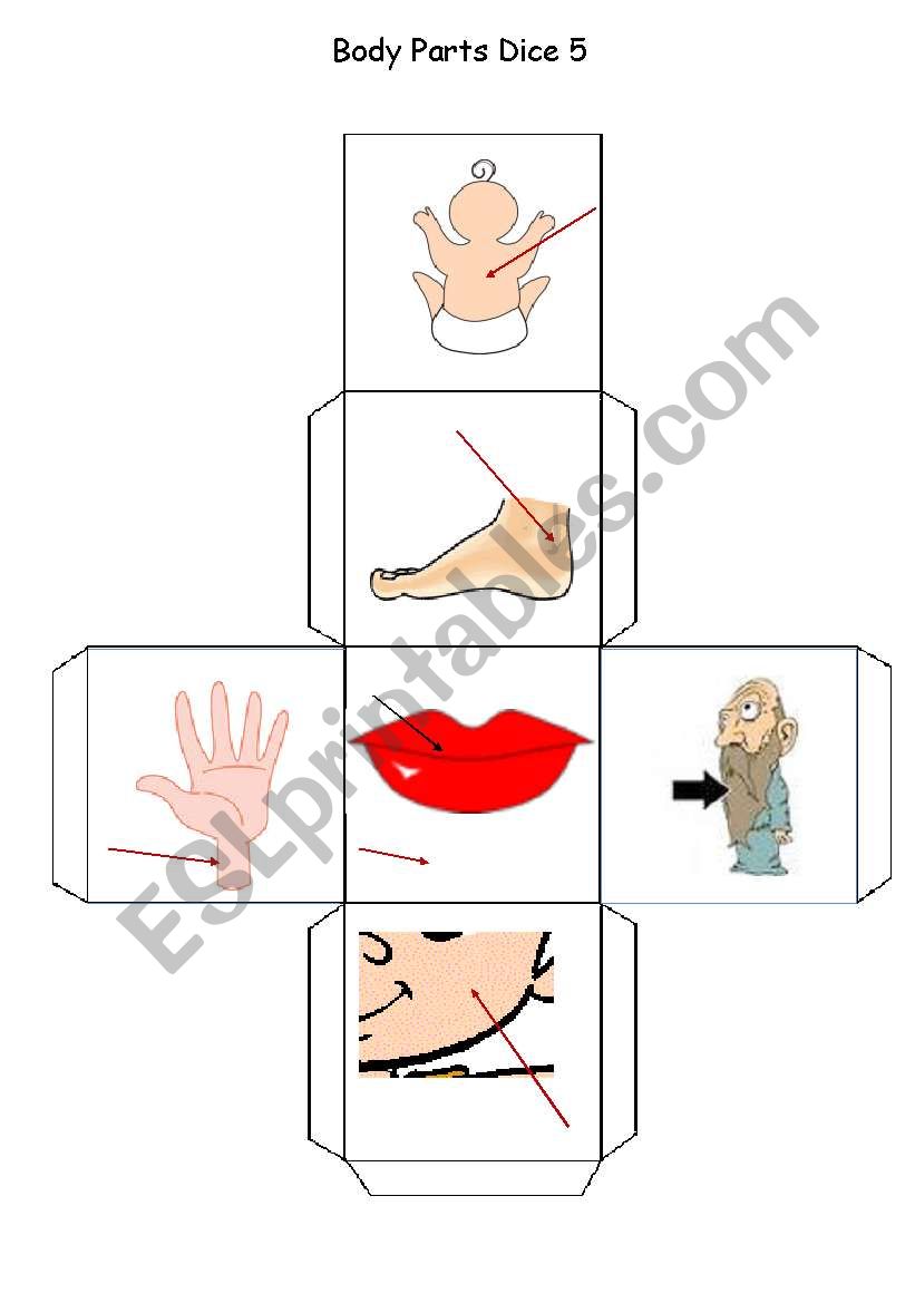 Body Parts Dice - Part 5 of 5 worksheet