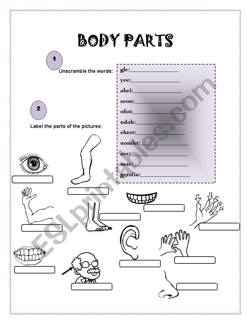 Body Parts worksheet