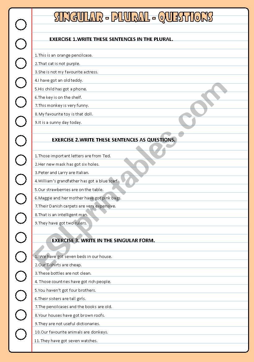 singular plural and questions worksheet