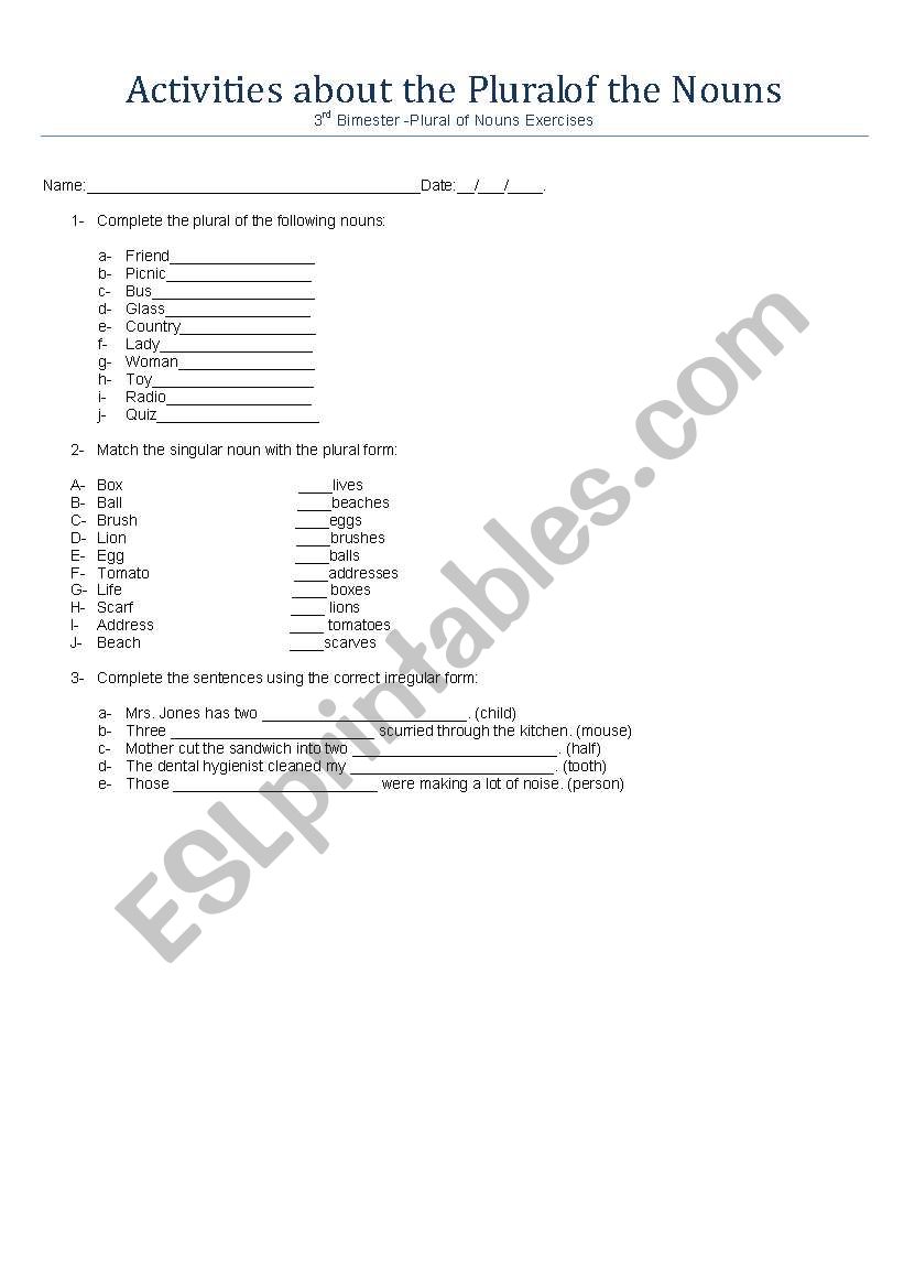 Plural of nouns worksheet