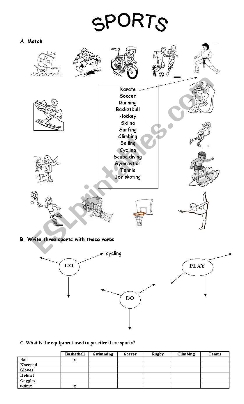 Sports worksheet