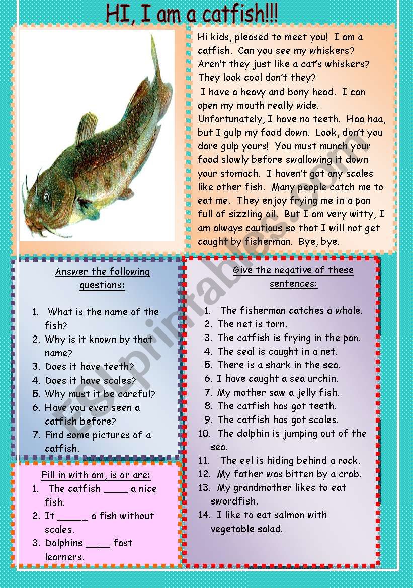 the catfish worksheet