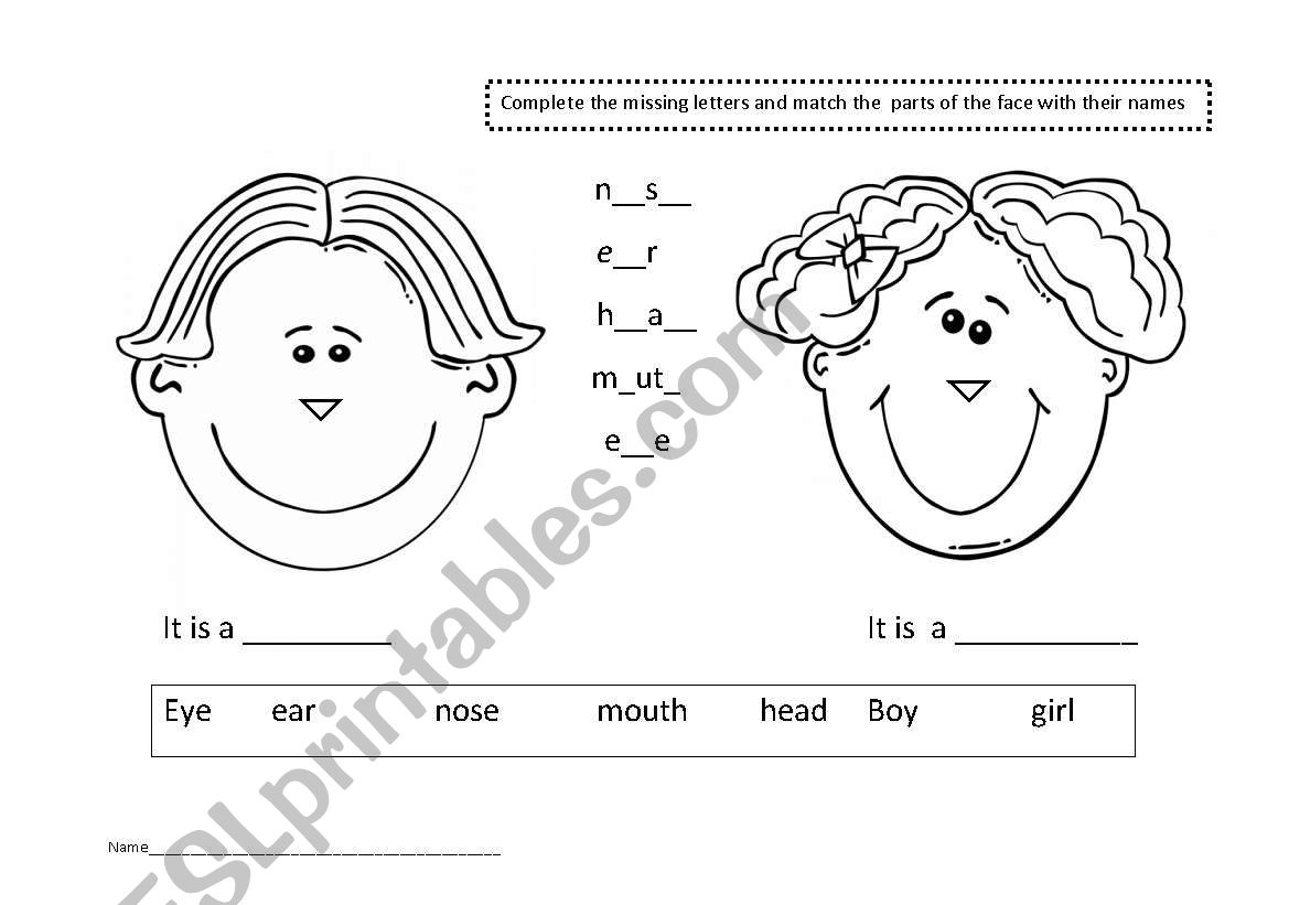 Parts of the head worksheet