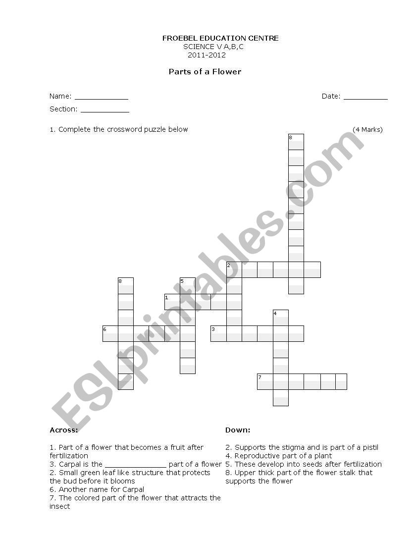 Parts of a flower worksheet