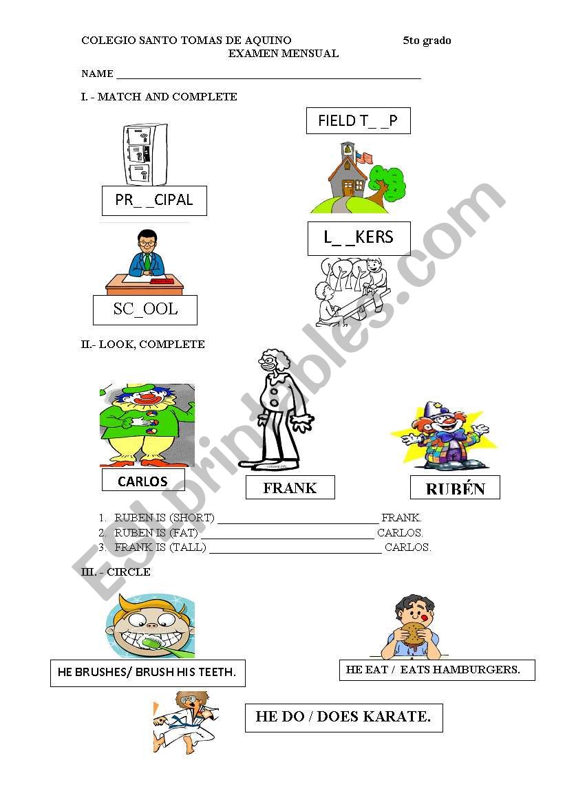 comparative - present simple worksheet