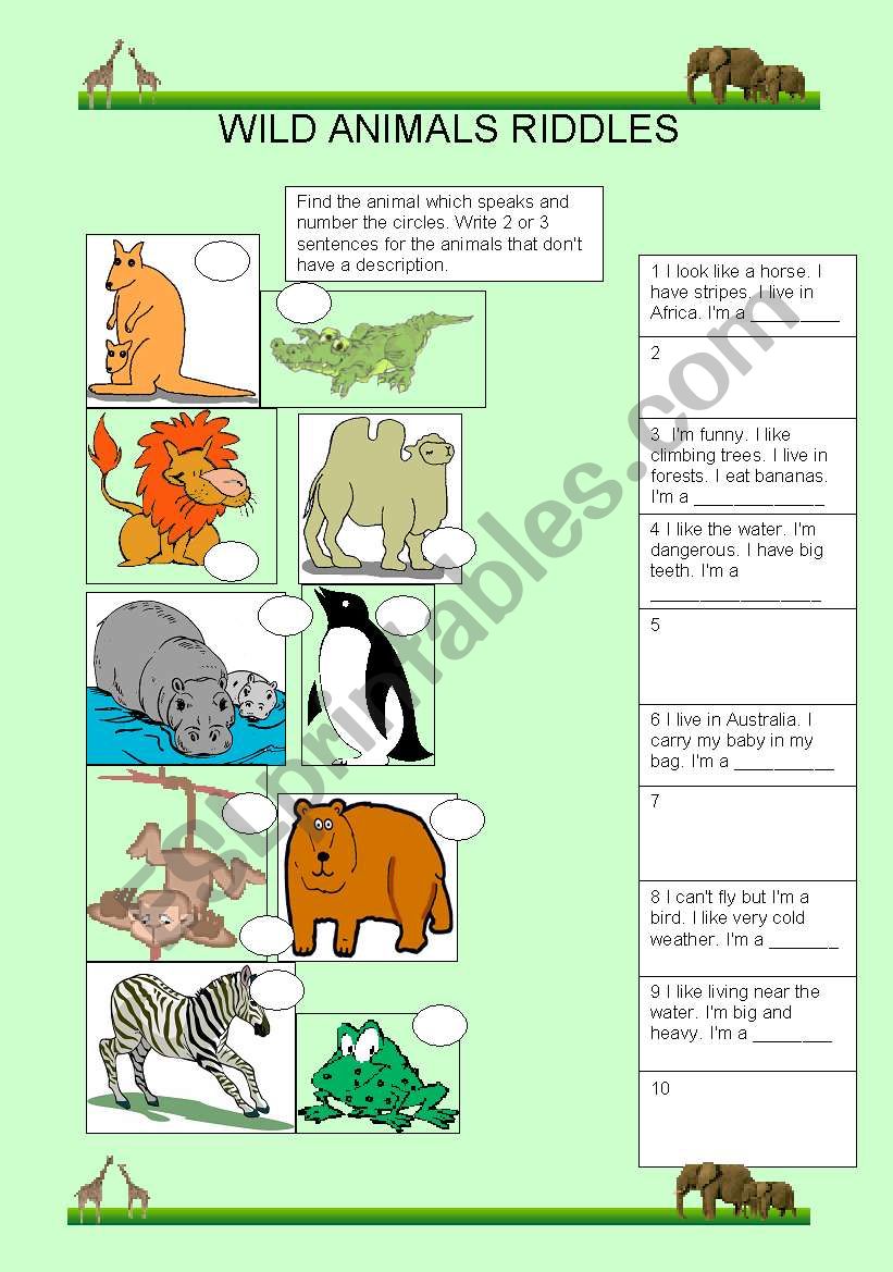 WILD ANIMALS RIDDLES worksheet