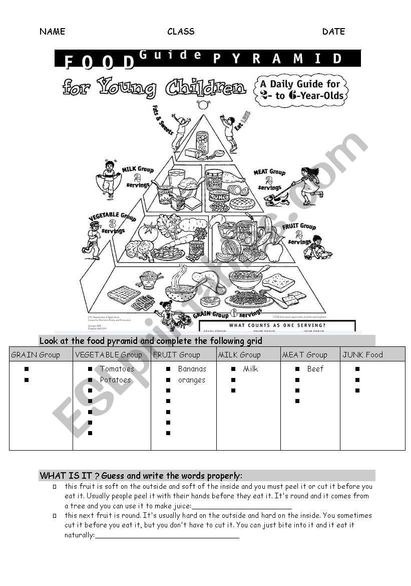 food pyramid  worksheet