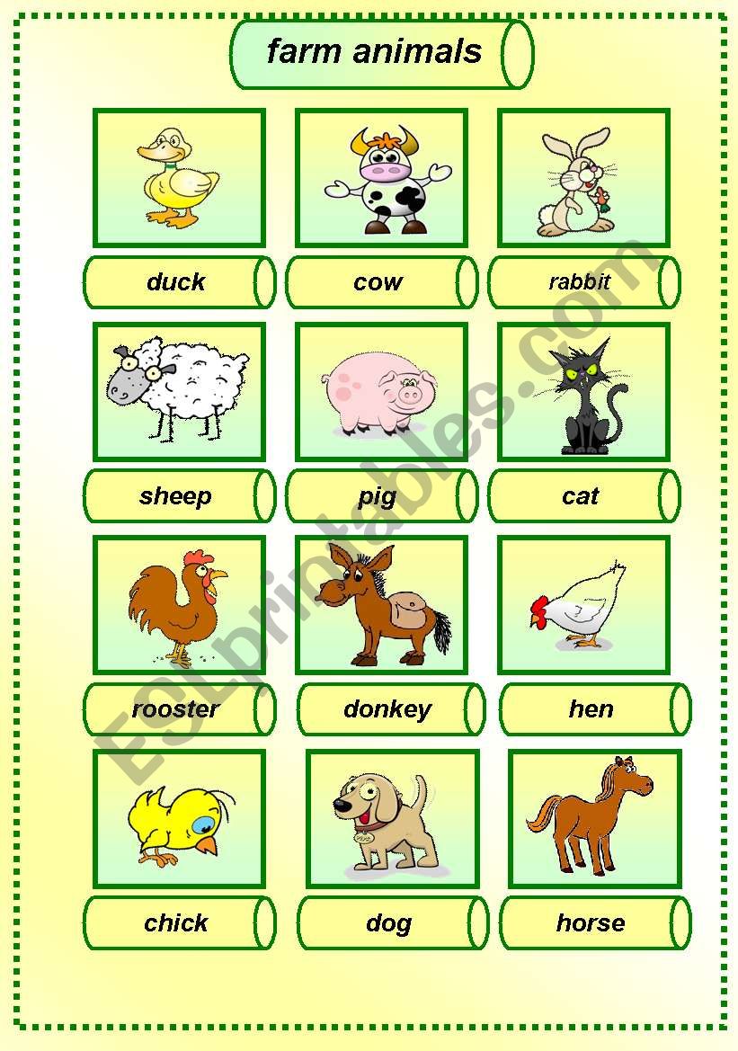 farm animals pictionary worksheet