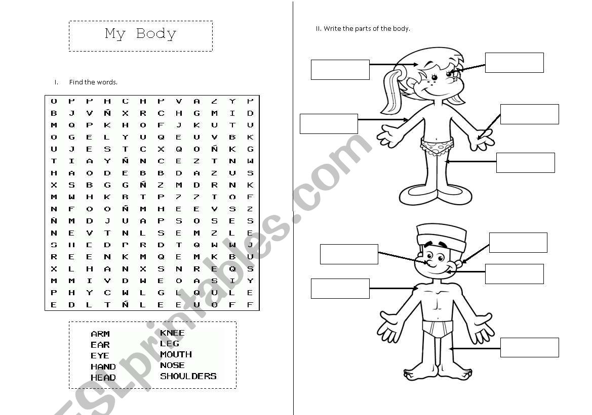 My body worksheet