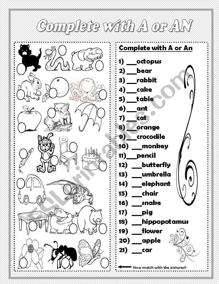 A/An worksheet