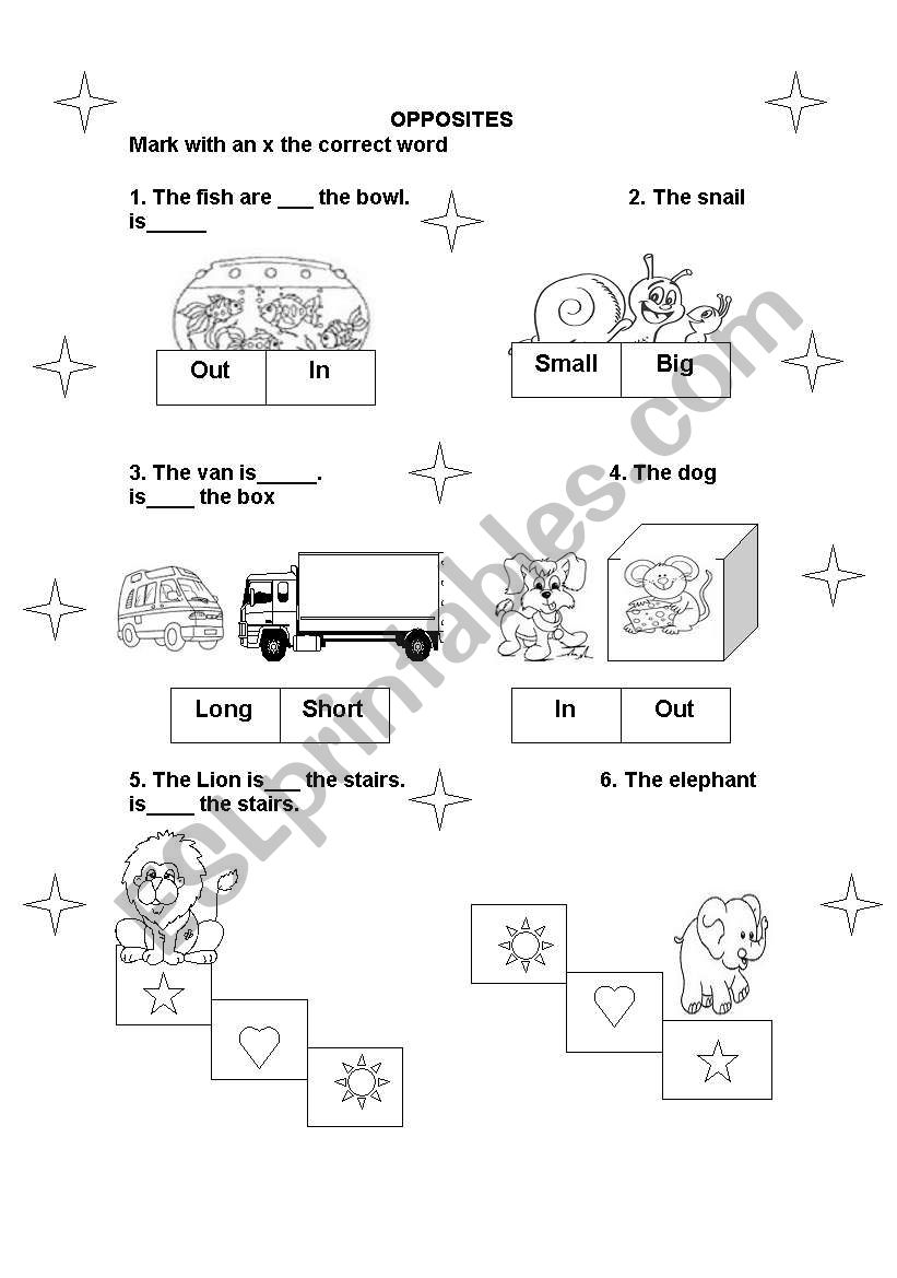 opposites  worksheet