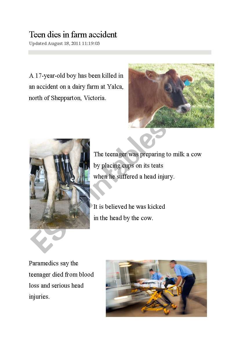 News Report: Farm Accident worksheet