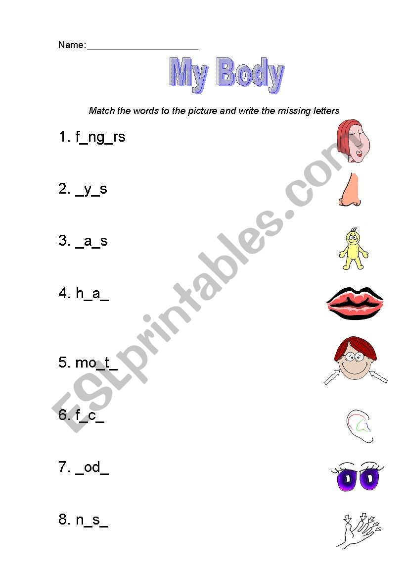 body parts worksheet worksheet