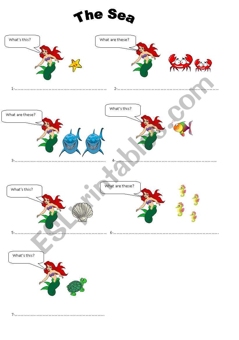 What are these? Whats this? worksheet