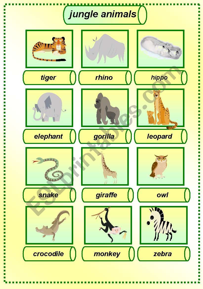 jungle animals pictionary worksheet